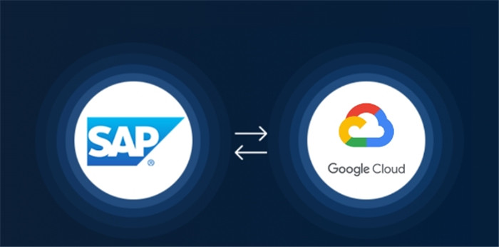 在AI时代,Google Cloud联合SAP开辟持久业务创新之路-国外VPS测评网