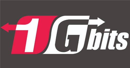 2025年俄罗斯VPS服务器推荐-1Gbits