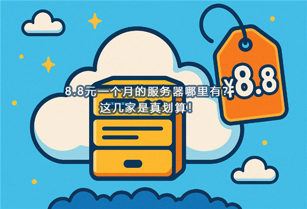 8.8元一个月的服务器哪里有?这几家是真划算!-国外VPS测评网