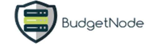 4.4元一个月的服务器哪里有？推荐BudgetNode