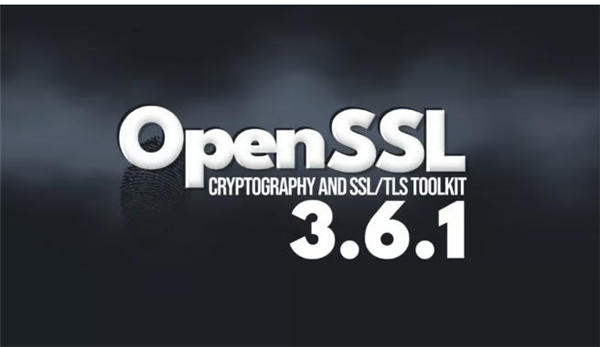 OpenSSL 3.6.1发布，包含多个高危安全漏洞修复