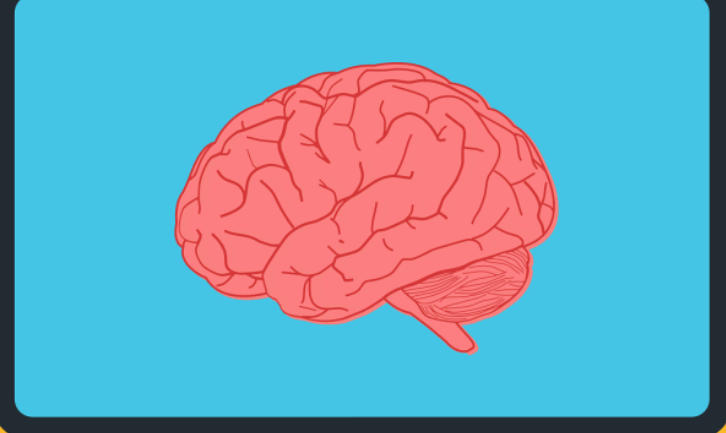 人类科技公司被选中为政府开发人工智能助手试点项目