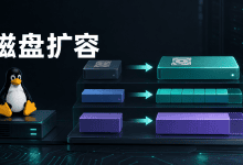 VPS扩容硬盘后容量没变化，Linux系统怎么扩容？-国外VPS测评网