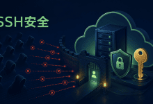 云服务器被暴力扫描怎么办？手把手教你SSH安全加固-国外VPS测评网