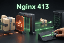 Nginx提示413 Request Entity Too Large怎么办?-国外VPS测评网