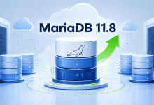 ScalaHosting 托管云 VPS 升级 MariaDB 11.8：数据库性能优化成为重点-国外VPS测评网