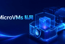 AWS Lambda MicroVMs接入PrivateLink后可全程走私有网络-国外VPS测评网